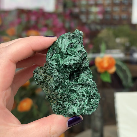 Fibrous Malachite "Sean"