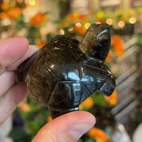 Obsidian Turtle "Peanut"