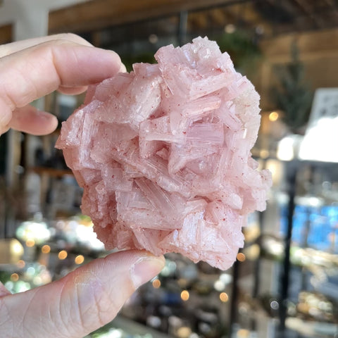 Pink Halite "Danny"