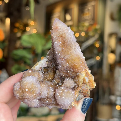 Cactus Amethyst "Beth"