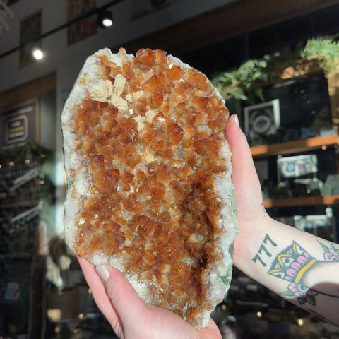 Citrine (H.E.) "Simba"