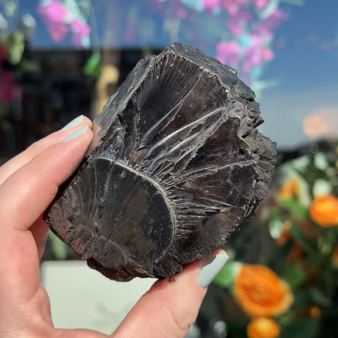 Elite Shungite "Clay"