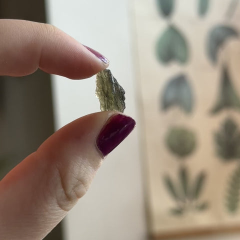 Moldavite "Hector"