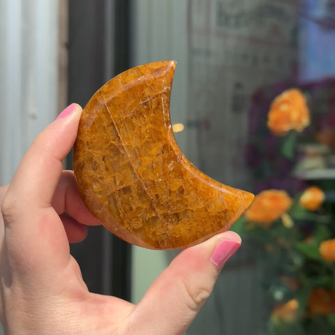 Golden Healer Moon "Honey"