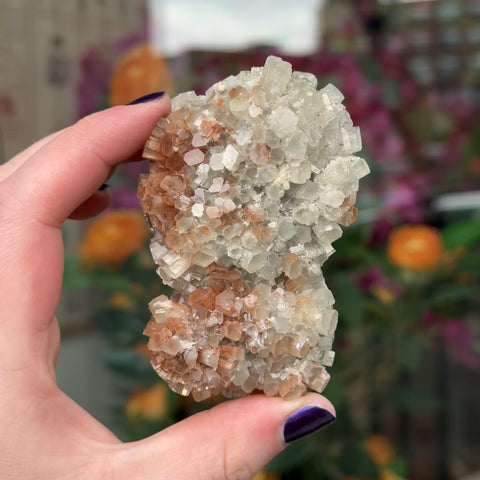 Aragonite "Olivia"