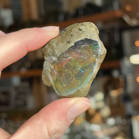 Window Opal "Dale"