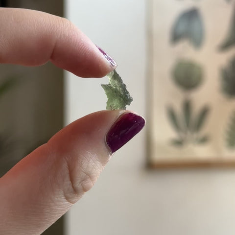 Moldavite "Remi"