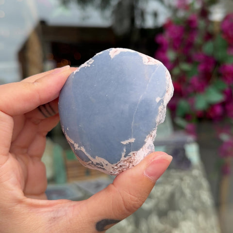 Angelite "Gina"