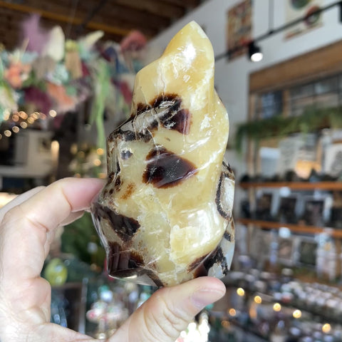 Septarian Stone "Abby"