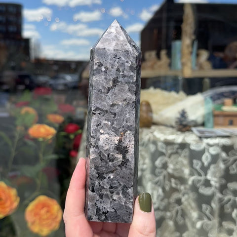 Larvikite "Bob"