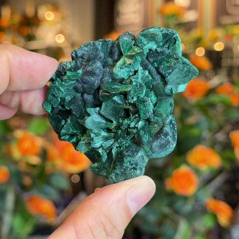 Fibrous Malachite "Madelyn"