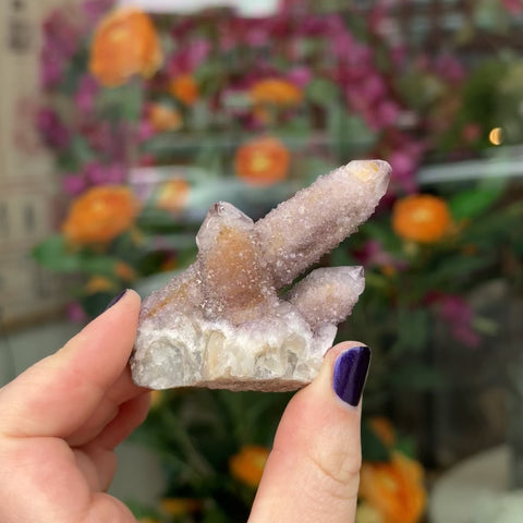 Cactus Amethyst "Allison"