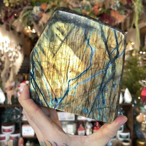 Labradorite "Griffin"