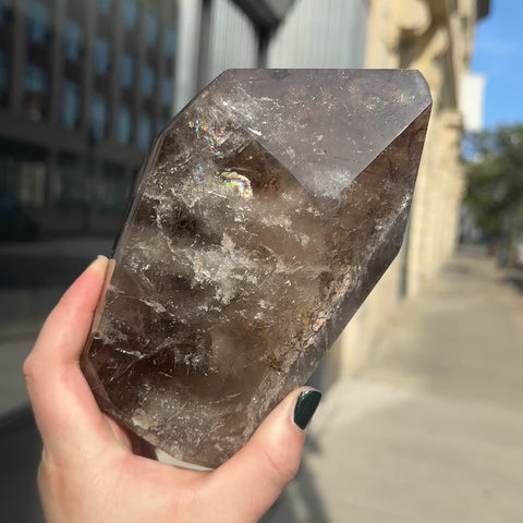 Rutilated Smoky Quartz "Louise"