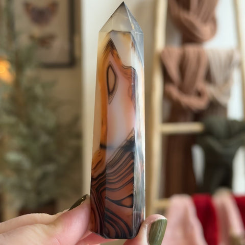 Sardonyx Point "Oakley"