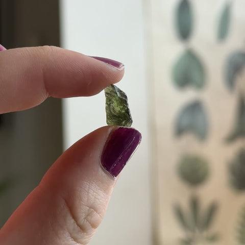 Moldavite "Evangeline"