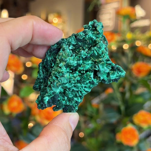 Fibrous Malachite "Dorothy"