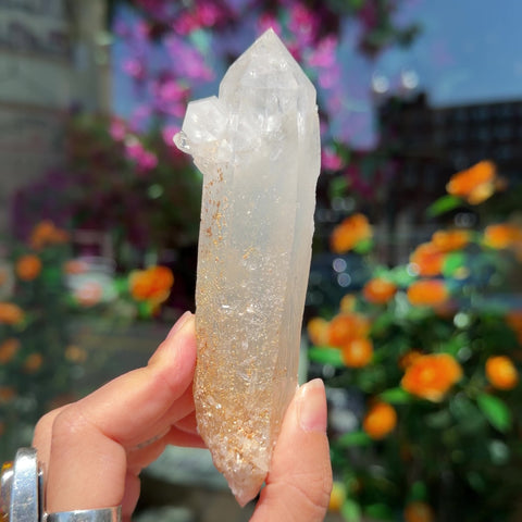 Blue Smoke Golden Healer Quartz "Connie"