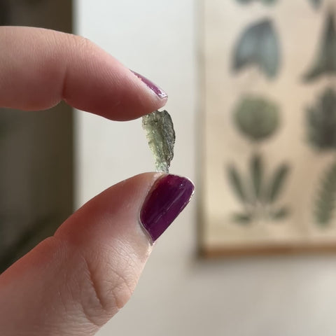 Moldavite "Rhett"