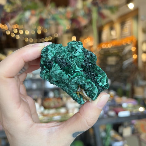 Fibrous Malachite "Frank"