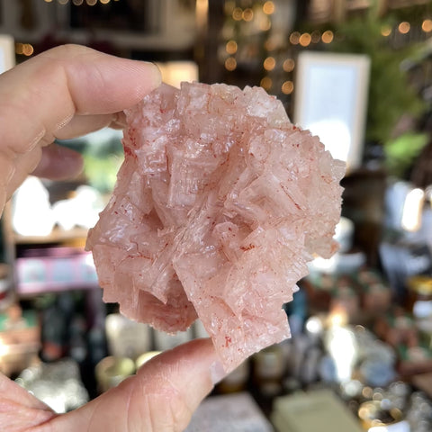 Pink Halite "Jan"