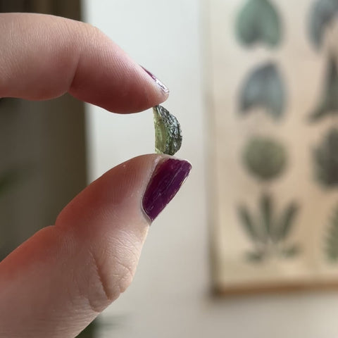 Moldavite "Donovan"