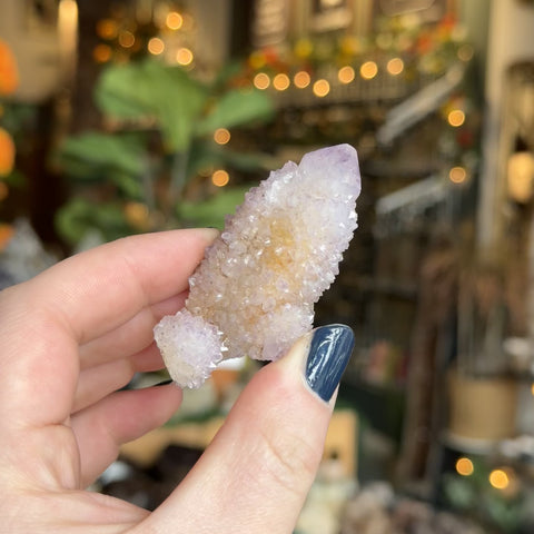Cactus Amethyst "Suzie"