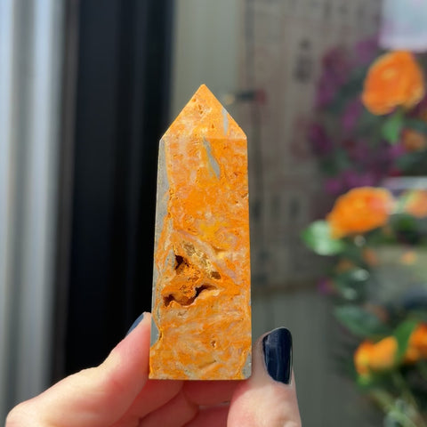 Bumblebee Jasper "Landon"