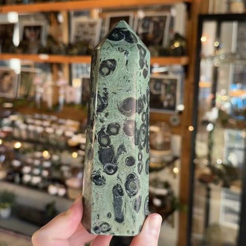 Kambaba Jasper "Angelina"