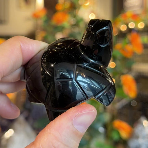 Obsidian Turtle "Blossom"
