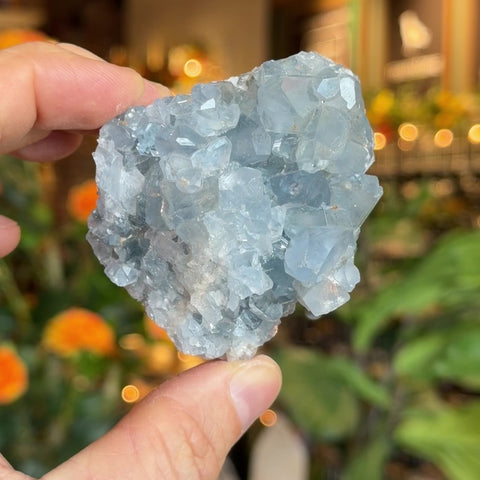 Celestite "Preston"