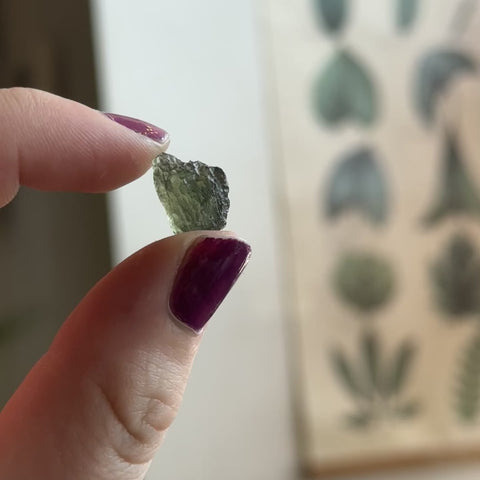 Moldavite "Knox"