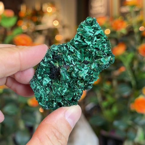 Fibrous Malachite "Ariana"