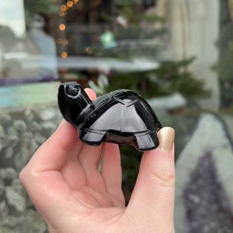 Obsidian Turtle "Tina"