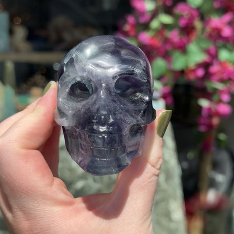 Fluorite Skull "Paul"