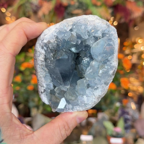 Celestite "Donnie"