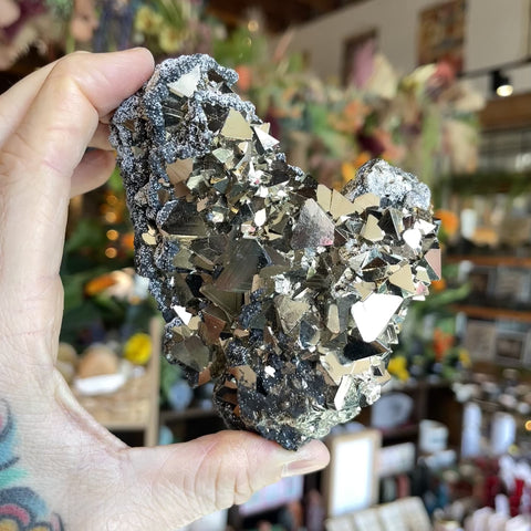 Pyrite "Cressida"