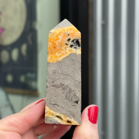 Bumblebee Jasper "Malik"