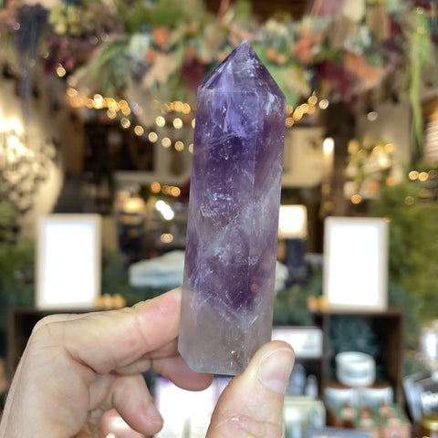 Amethyst "Stephanie"