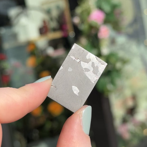 Campo del Cielo "Lola"