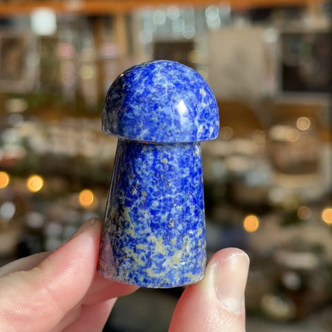 Lapis Lazuli Mushroom "Ryan"