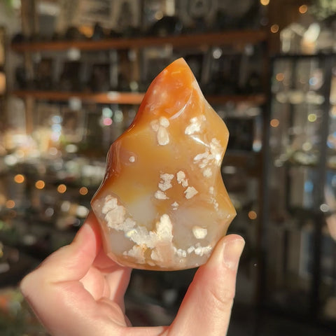Flower Agate "Kevin"