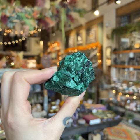 Fibrous Malachite "Finn"