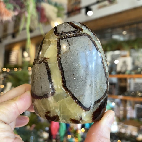 Septarian Stone "Haley"