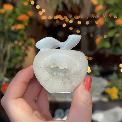 Agate Apple "Newton"