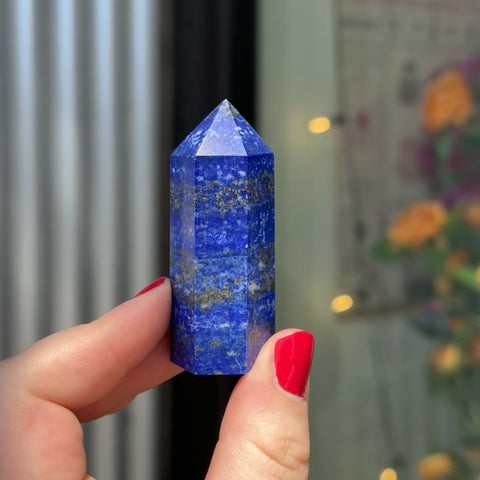 Lapis Lazuli "Stanley"