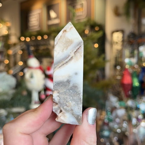 Druzy Fossilized Coral "Leo"