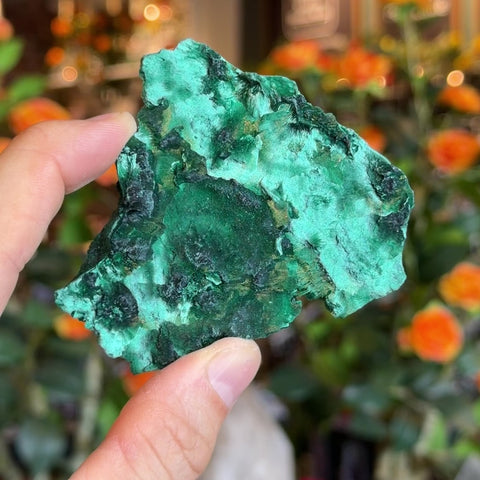 Fibrous Malachite "Veronica"