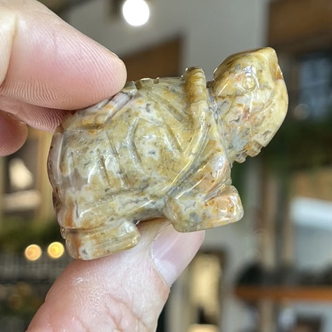 Crazy Lace Agate Turtle
