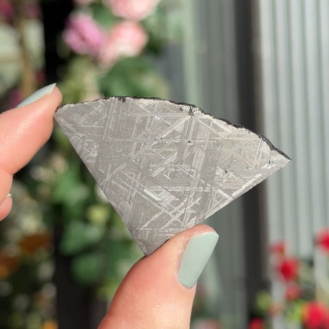 Muonionalusta "Bonnie"